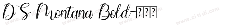 DS Montana Bold字体转换